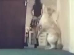 During a livecam, a jubilant adolescent girl gets turned on and has bestiality sex.